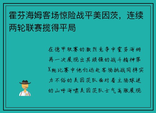 霍芬海姆客场惊险战平美因茨，连续两轮联赛揽得平局